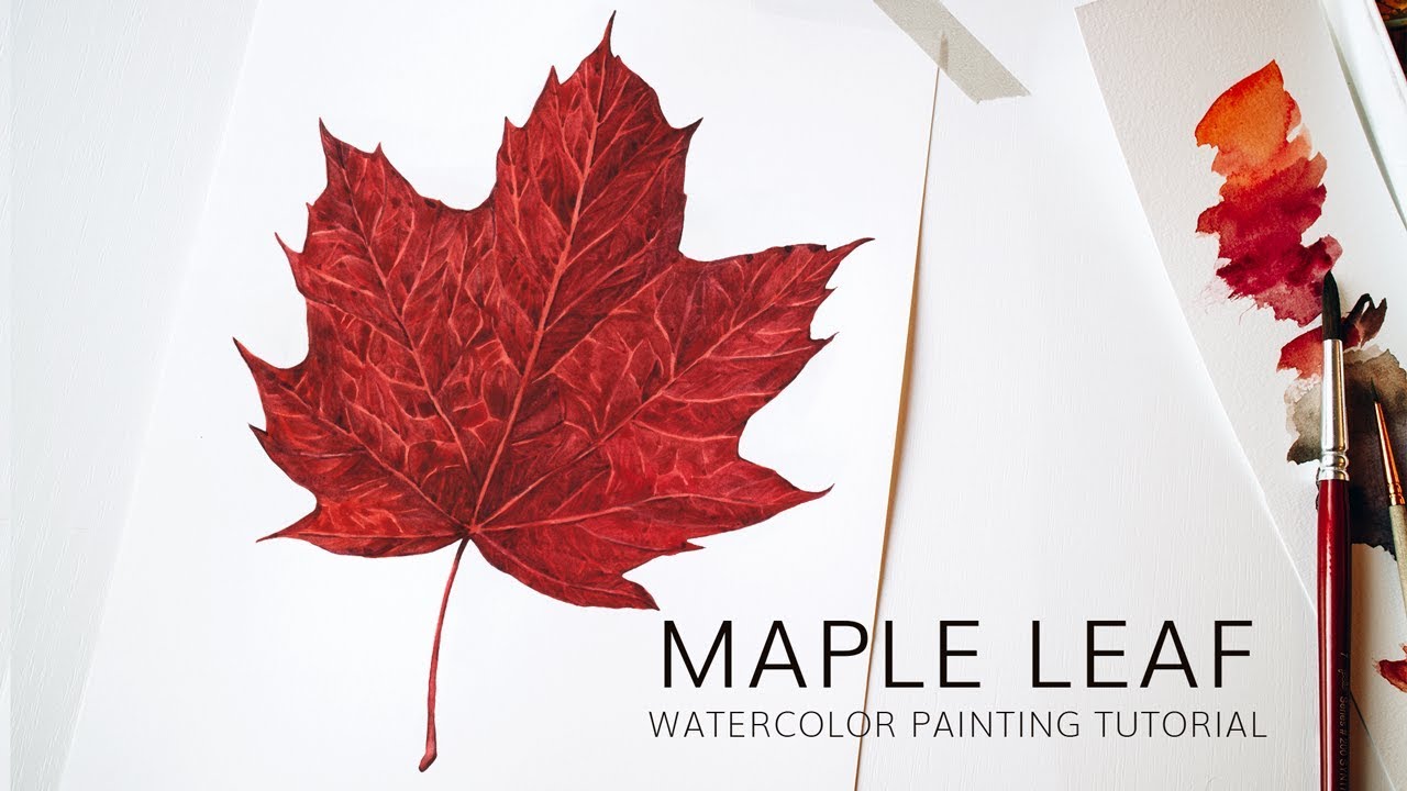 Red Autumn Leaf Botanical Illustration Tutorial · Painting realistic maple leaf in watercolor