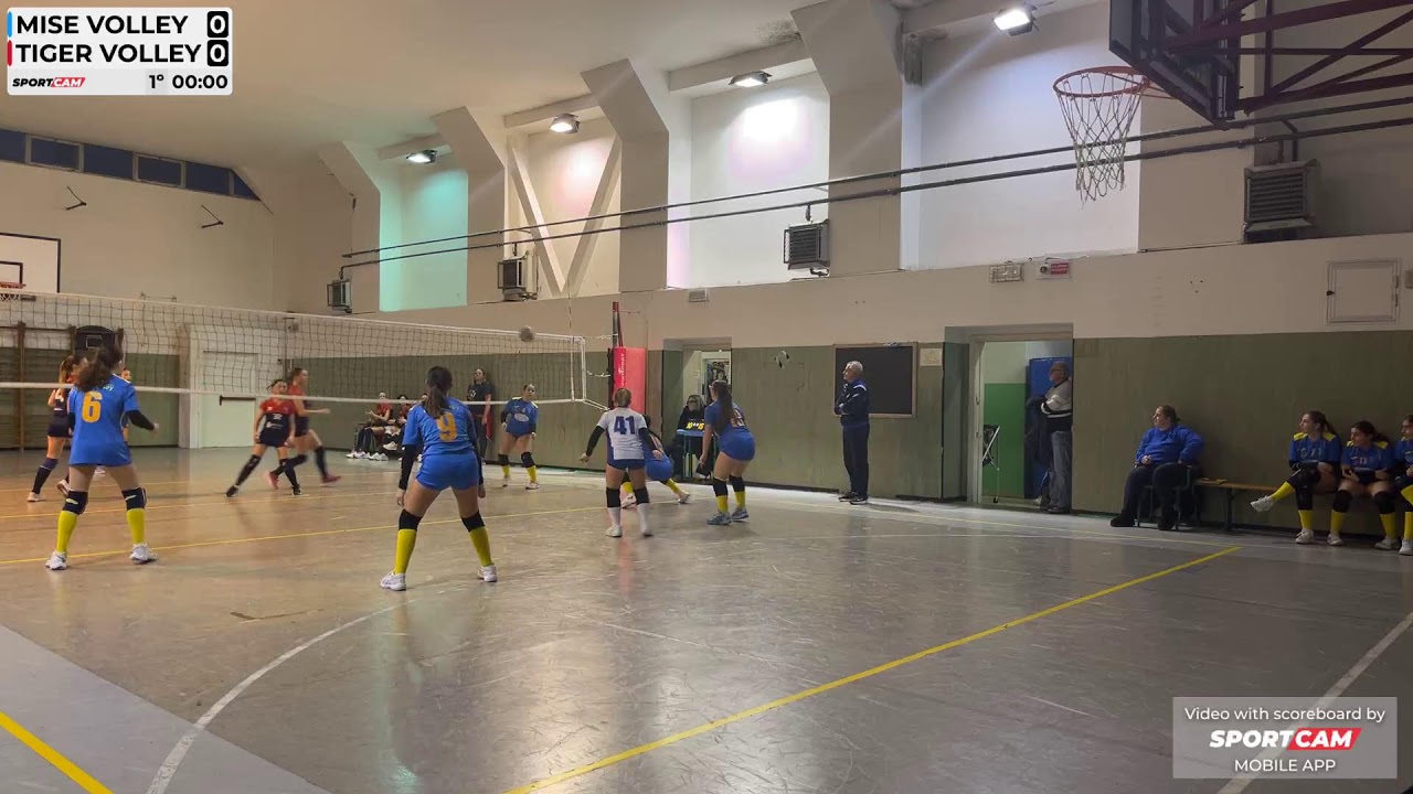 Mise Volley/ Tiger Volley U14 CSI- 12/02/2026