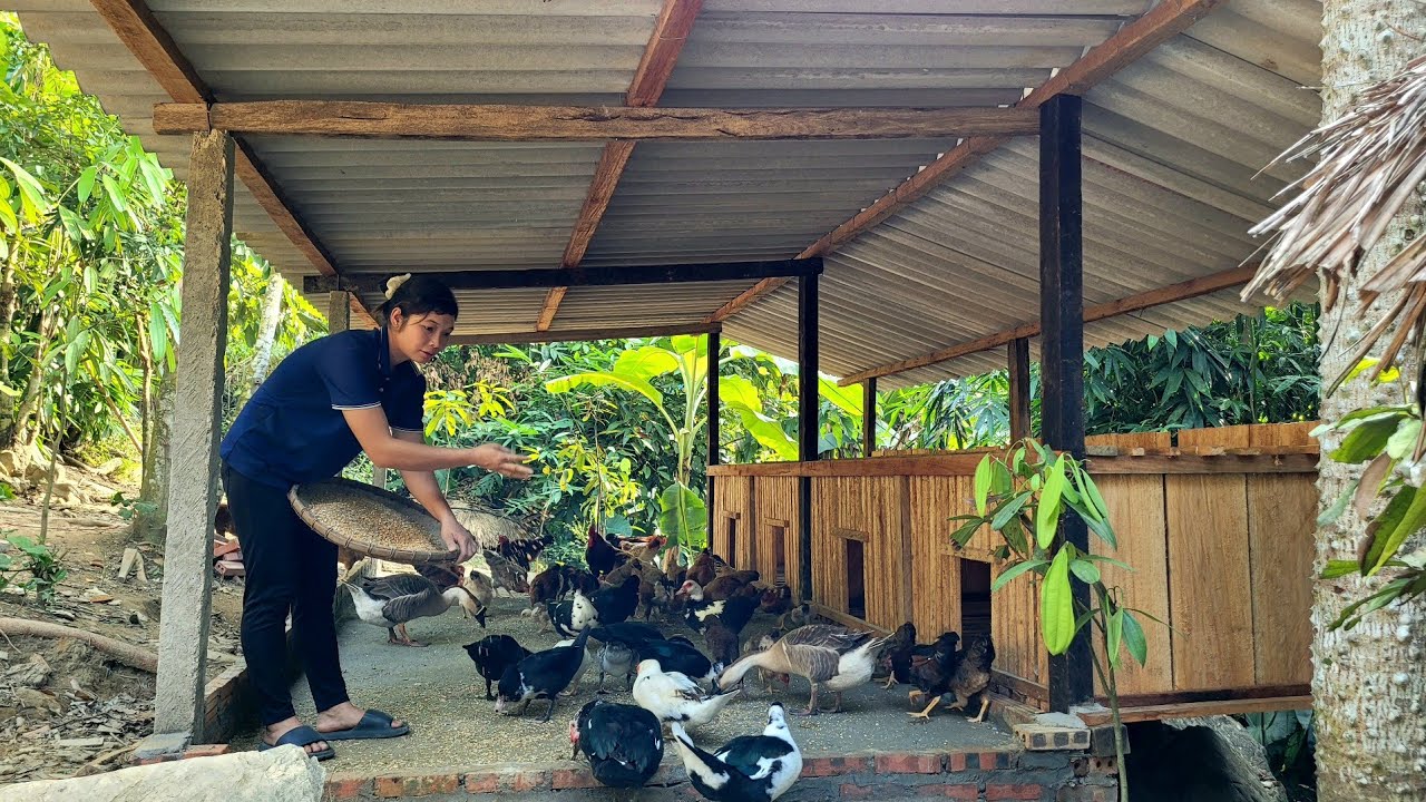 Digging turmeric to sell at the market, cleaning the house, taking care of pets on the farm