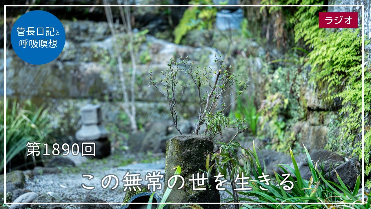 第1890回「この無常の世を生きる」2026/3/11【毎日の管長日記と呼吸瞑想】｜ 臨済宗円覚寺派管長 横田南嶺老師