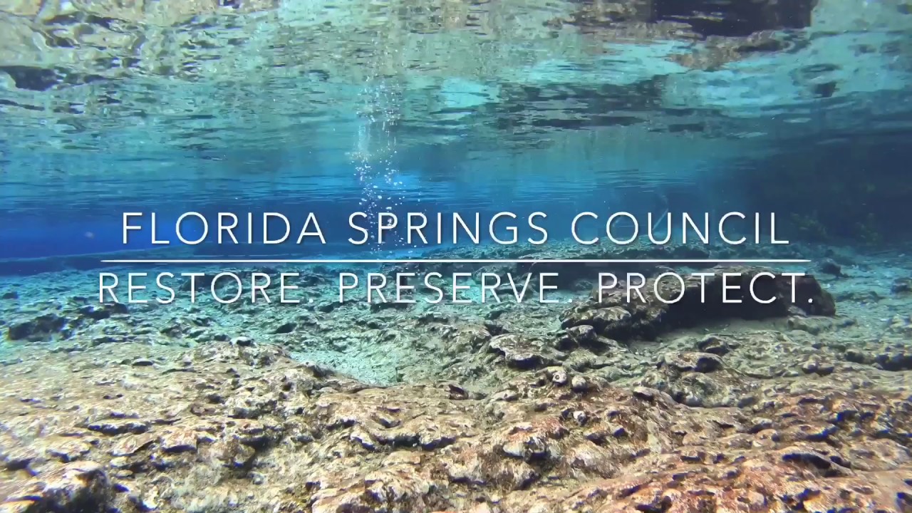 Florida Springs Council: Protect Florida's Springs