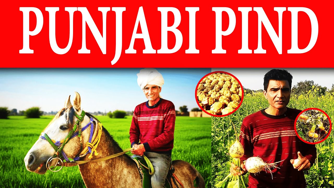 Punjabi Pind da Visit | Living Punjab