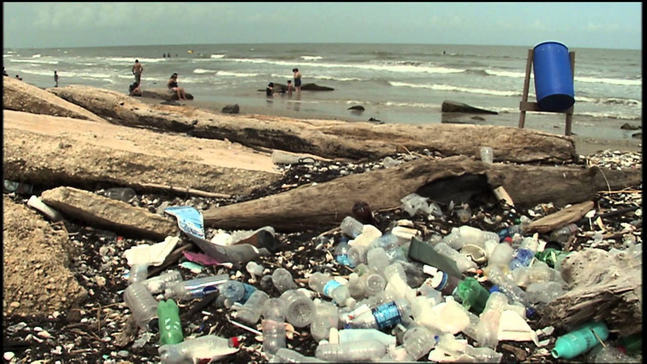 America's Sea: the Gulf of Mexico: Texas Aquatic Science- Chapter 12