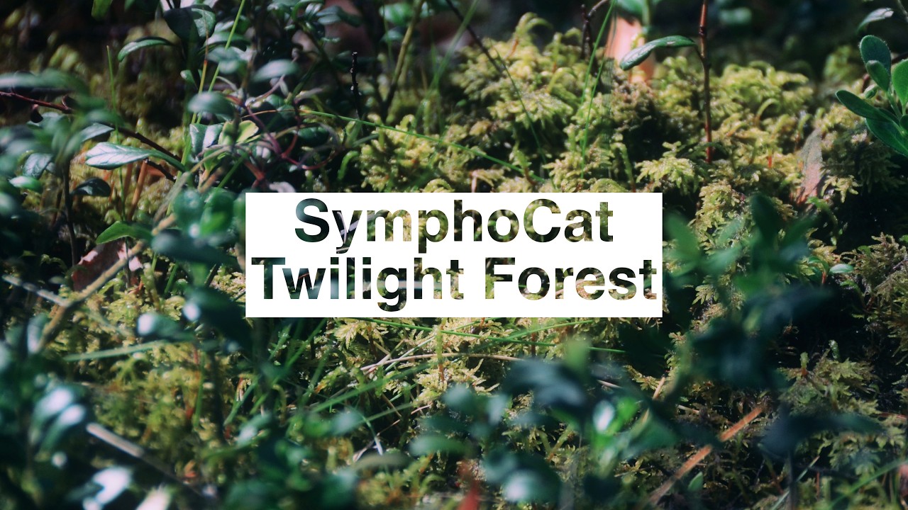 SymphoCat - Twilight Forest