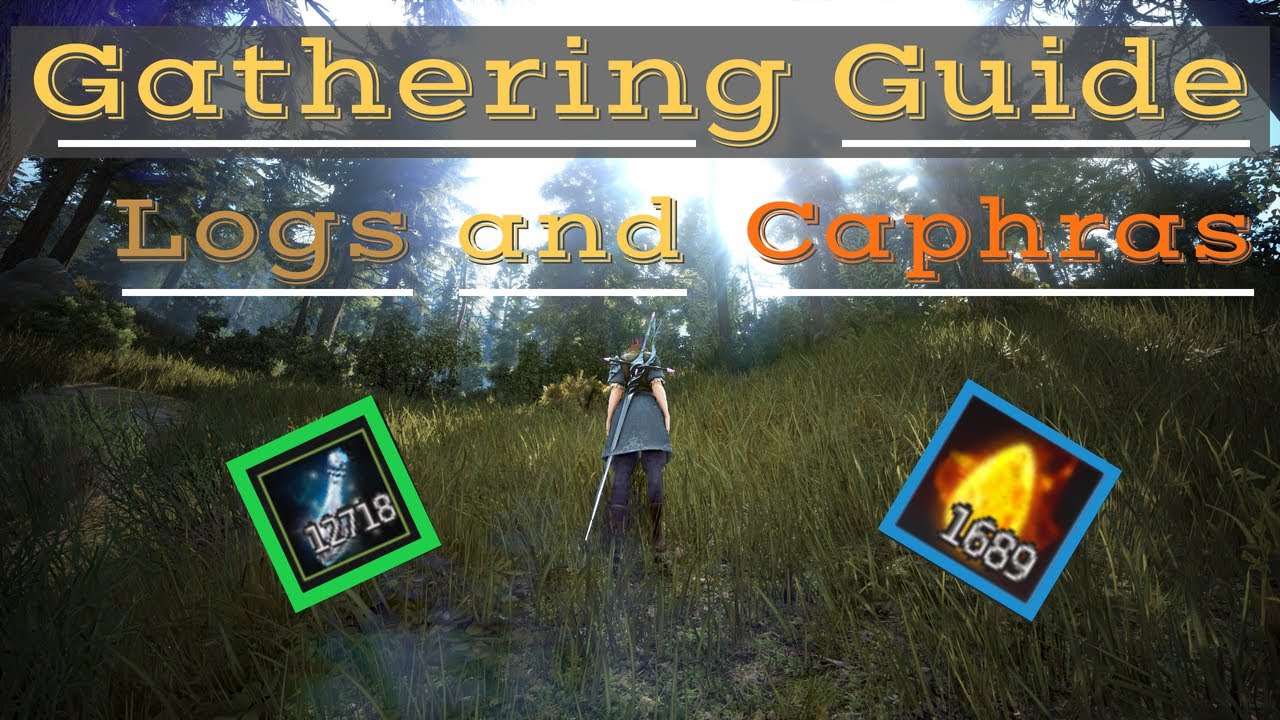 Black Desert Online - Where To Gather Logs and Get Caphras!(2020)