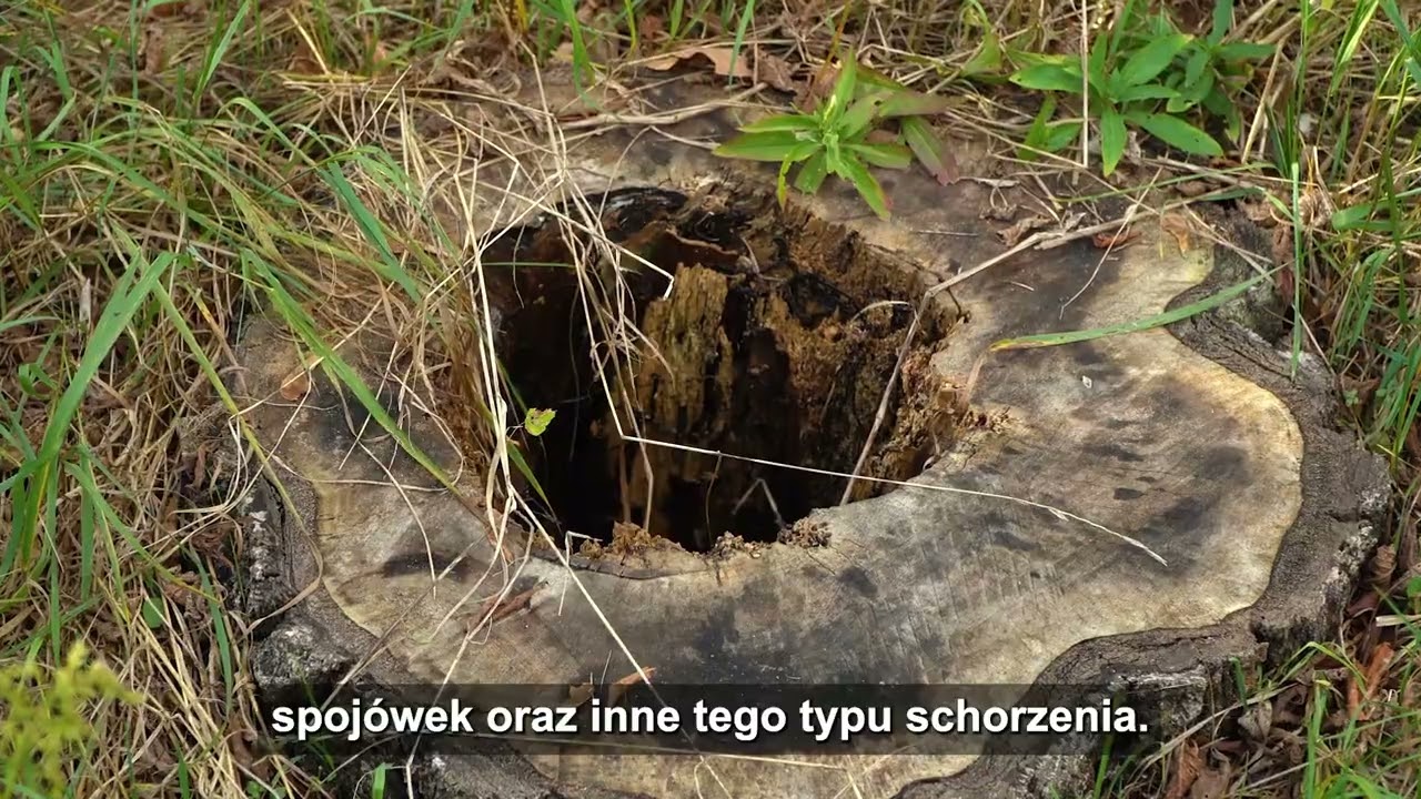 NASZA HISTORIA: Dzieje garnizonu Legionowo