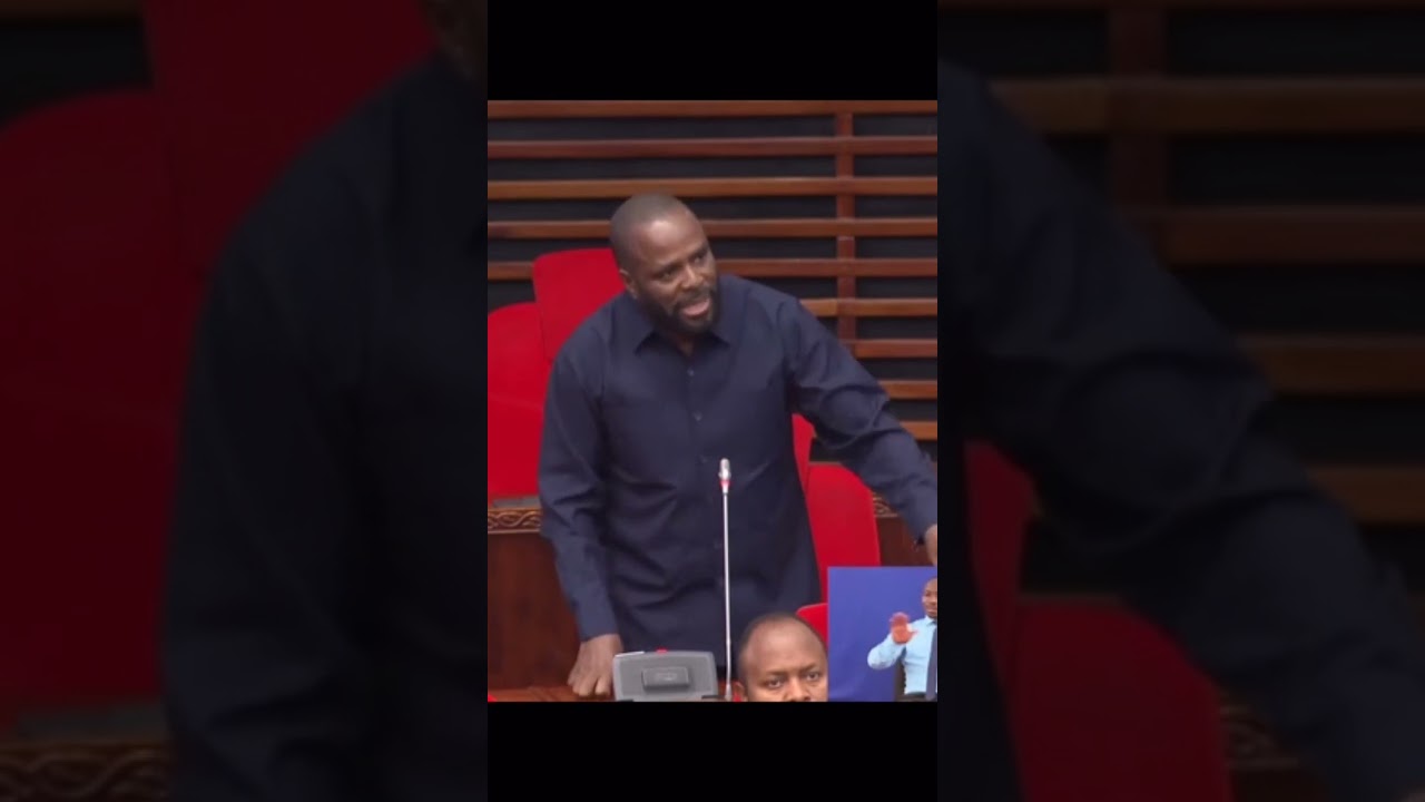 ERICK SHIGONGO.  #samiasuluhu #tanzania #bunge  #chadema