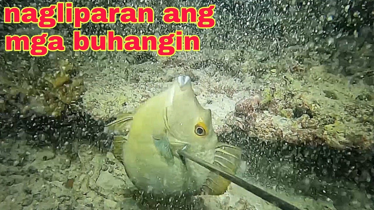 ep650 nagliparan ang buhangin sa subrang galaw sa ilalim