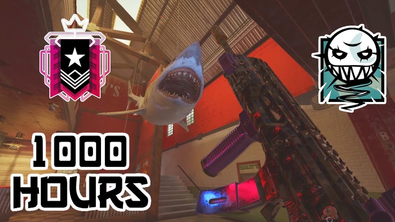 what 1000 hours on ela looks like