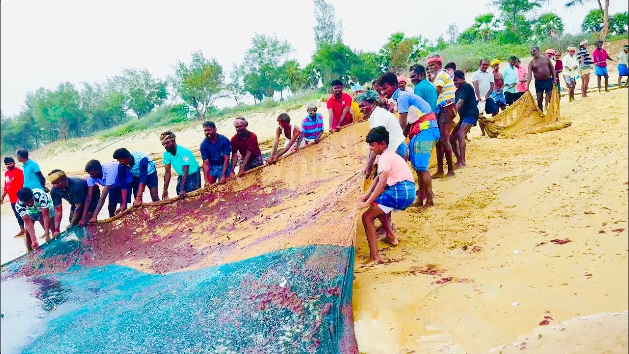இது என்னடா கொடுமை கர வலை  சுத்தி மீன் பிடித்தோம் 