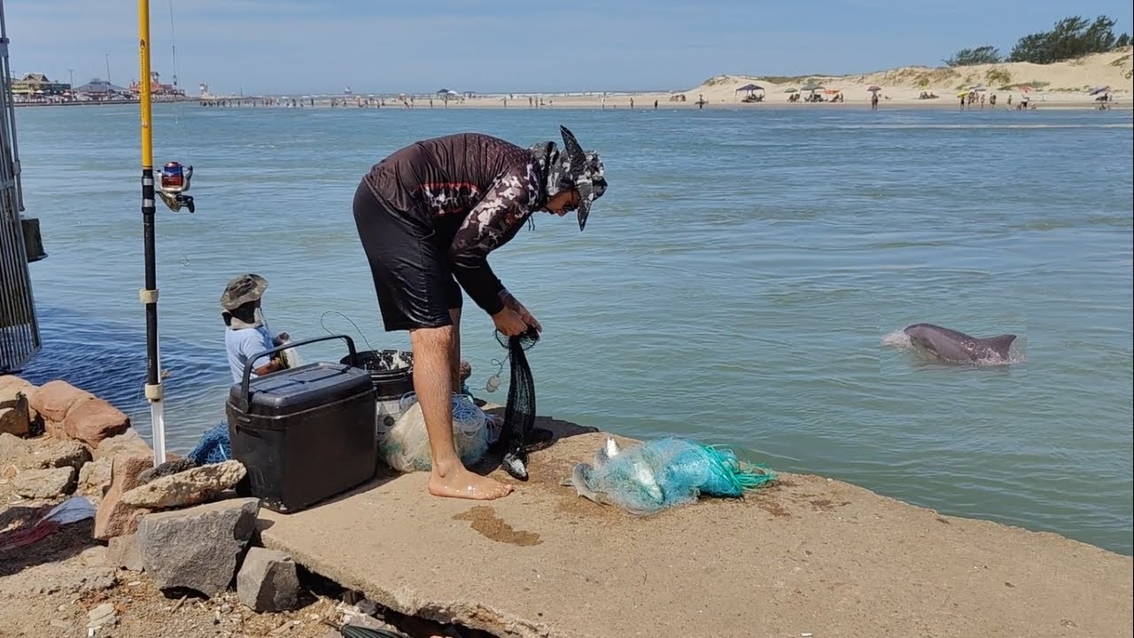 Pescas de tarrafas, 16-02-25, Estava ótimo! Pesqueiro da CDA, Imbé.  #fish #pescadetarrafas #botos