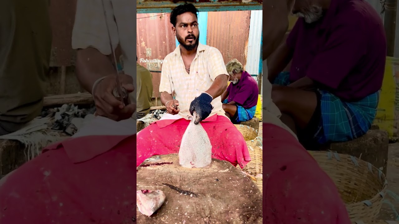 Vavval fish cutting video/fishcuttingrs#fish #kasimedu #fishcuttingrs