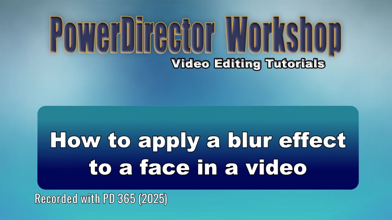 How to apply a blur effect to a face in a video