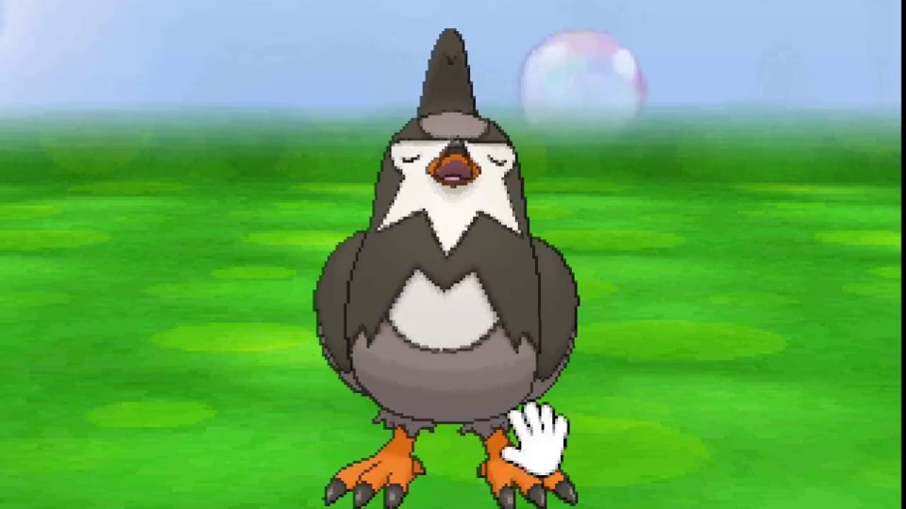 ポケパルレ　ムクバードと戯れるだけの動画