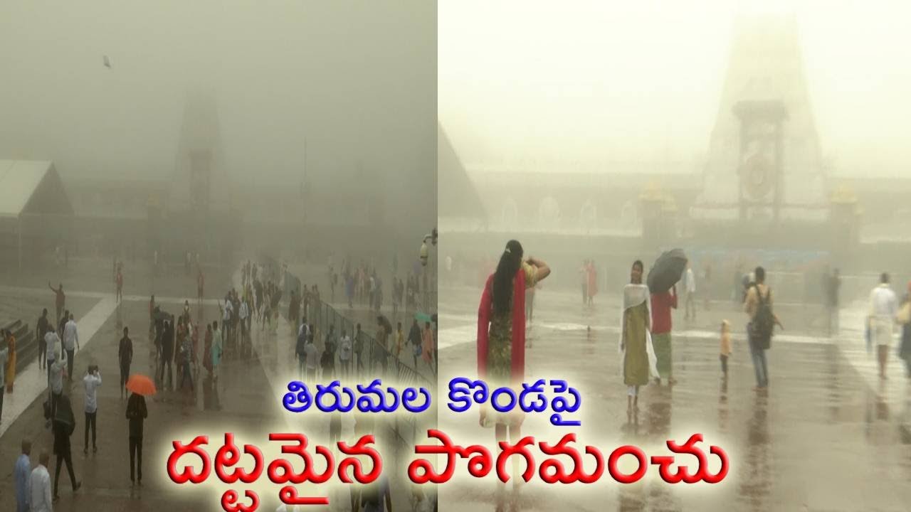 తిరుమల కొండపై దట్టంగా పొగమంచు.. ఆహ్లాదకరమైన వాతావరణం@eenadu-news #tirumala #andhrapradeshnews