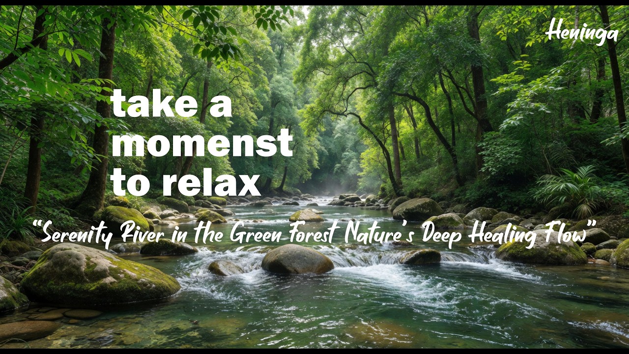 “Serenity River in the Green Forest 🌿 Nature’s Deep Healing Flow”