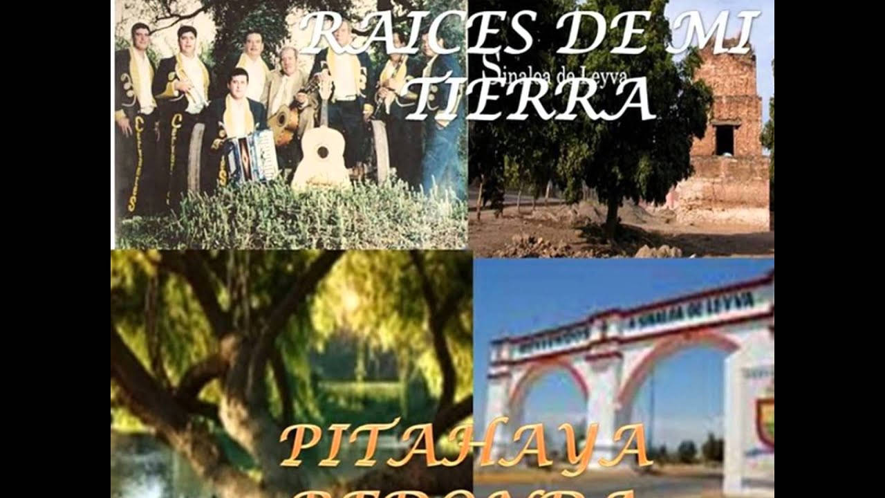 Los Cervantes de Sinaloa. Ausencia Eterna