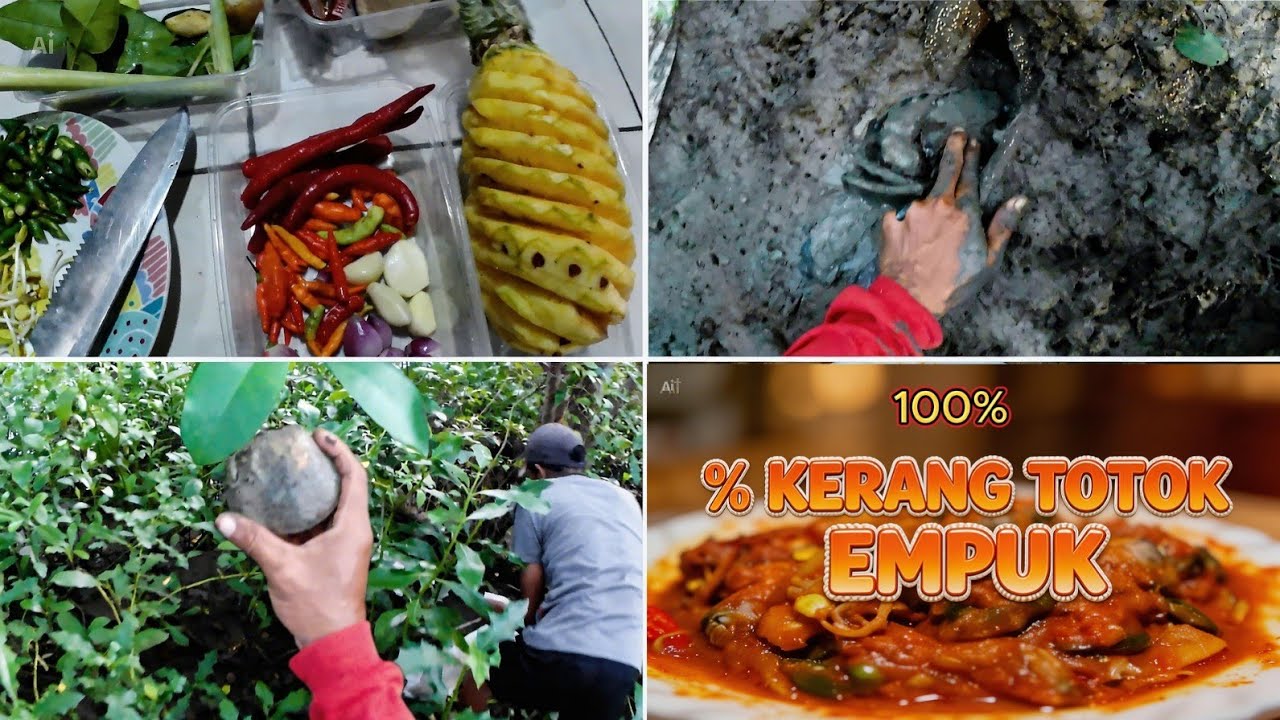 CARA MEMASAK KERANG TOTOK YANG 𝘼𝙡𝙤𝙩 𝙆𝙖𝙮𝙖𝙠 𝙆𝙖𝙧𝙚𝙩 𝘽𝙖𝙣 + 𝘽𝙚𝙧𝙗𝙪𝙧𝙪 𝙆𝙚𝙧𝙖𝙣𝙜 & 𝙆𝙚𝙥𝙞𝙩𝙞𝙣𝙜 𝙈𝙖𝙣𝙜𝙧𝙤𝐯𝙚 🦀🐚