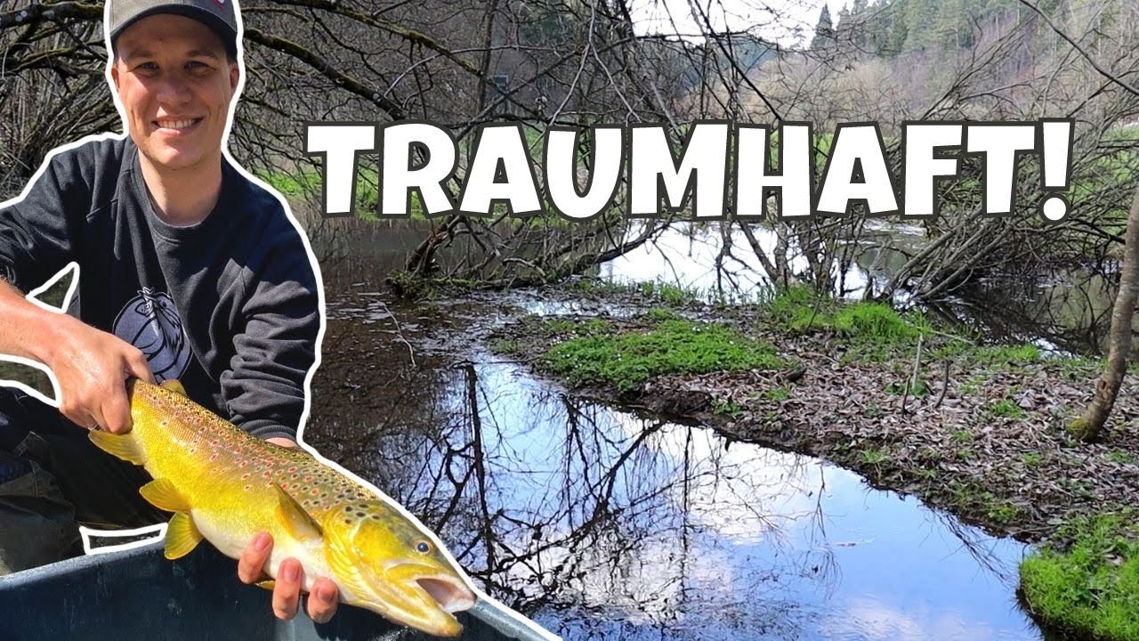 WO gibt es diese TOLLEN Fische ❓ | Bachforellen Saiblinge und Äschen... | Natürlich Bio [Doku]