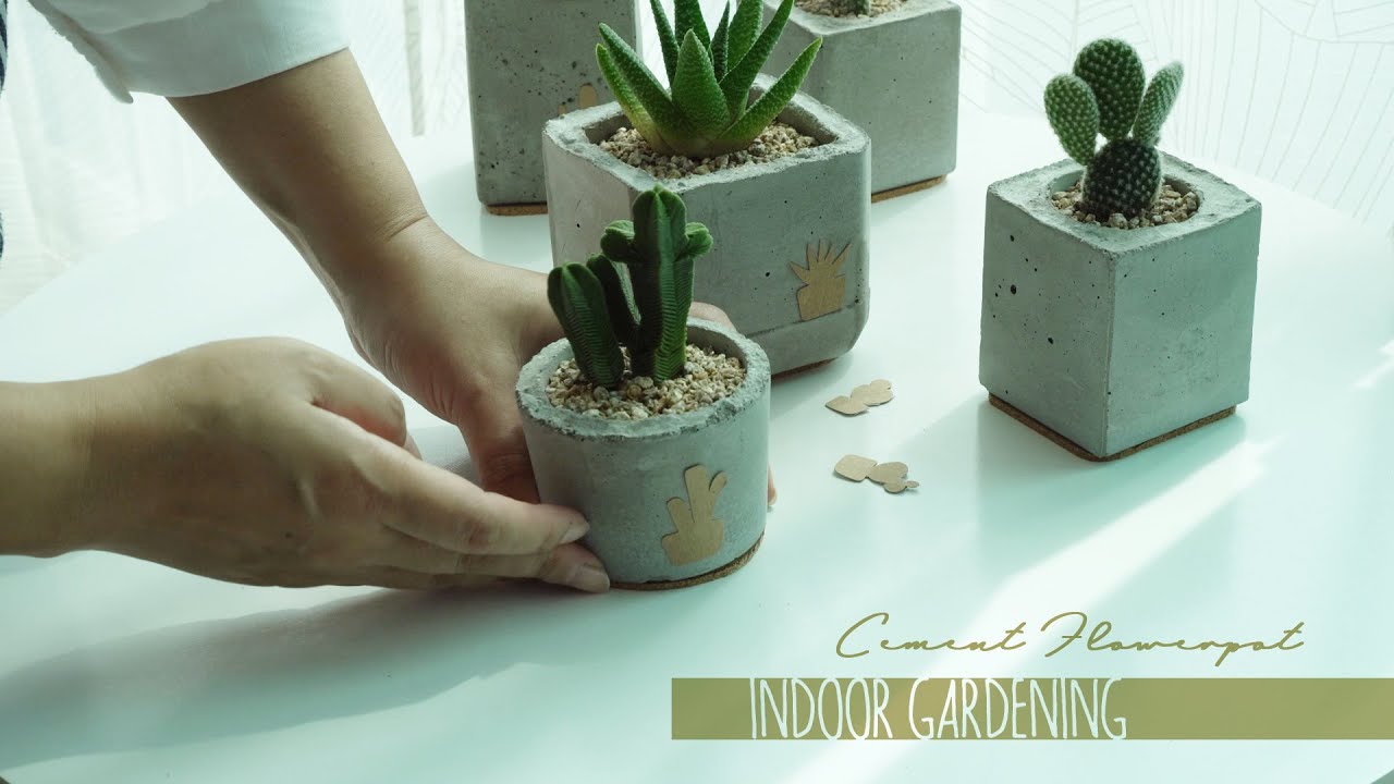 만들어보고 싶었어요! 시멘트화분, 다육이와 선인장을 심어주었습니다 : Cement Flowerpot : Succulent planting