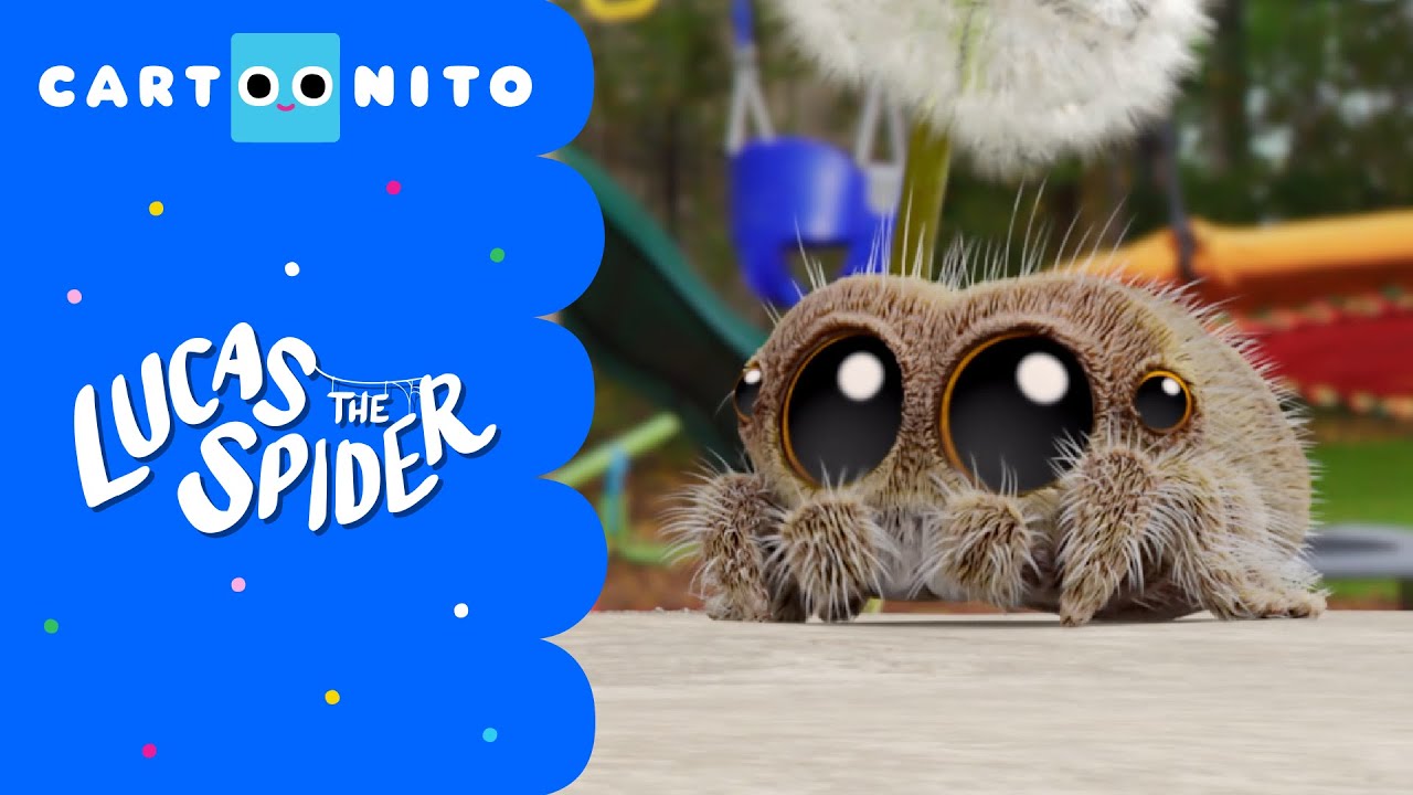 Don't Do That Arlo! | Lucas The Spider | Cartoonito