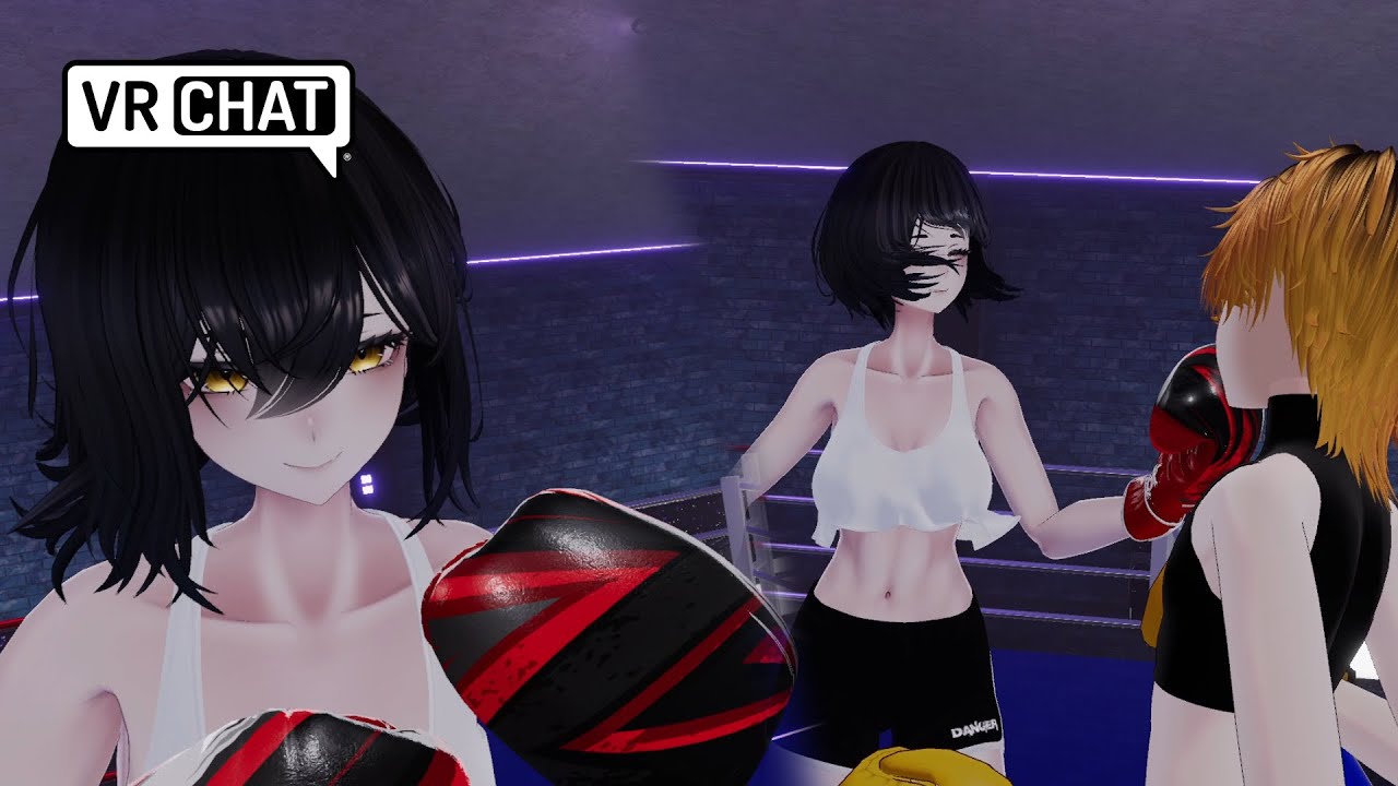 Beating with powerful skill VRchat POV BOXING
