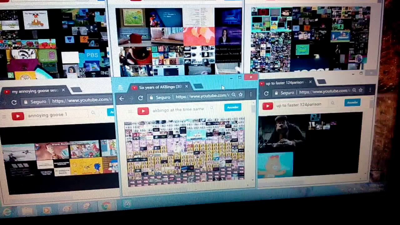 Annoying goose sixparison