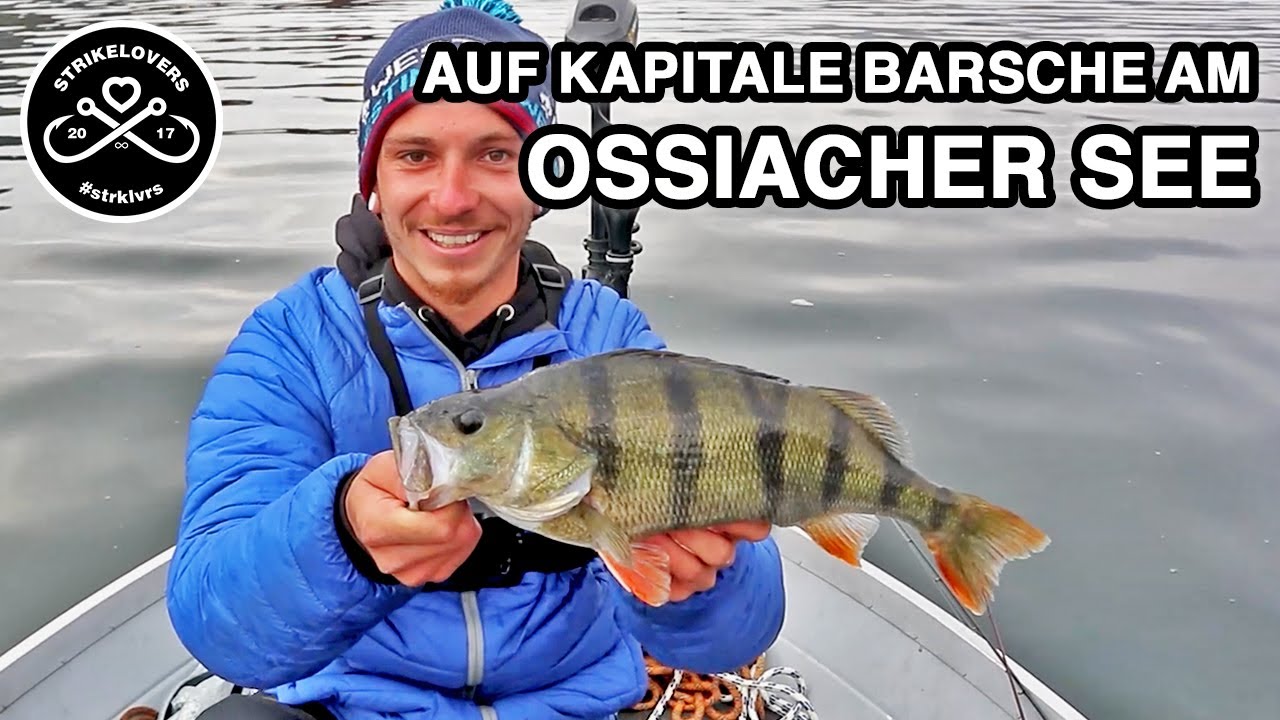Große Barsche vom OSSIACHERSEE im Freiwasser 🎣❤️ mit Chatterbait, Crankbait und Gummifisch
