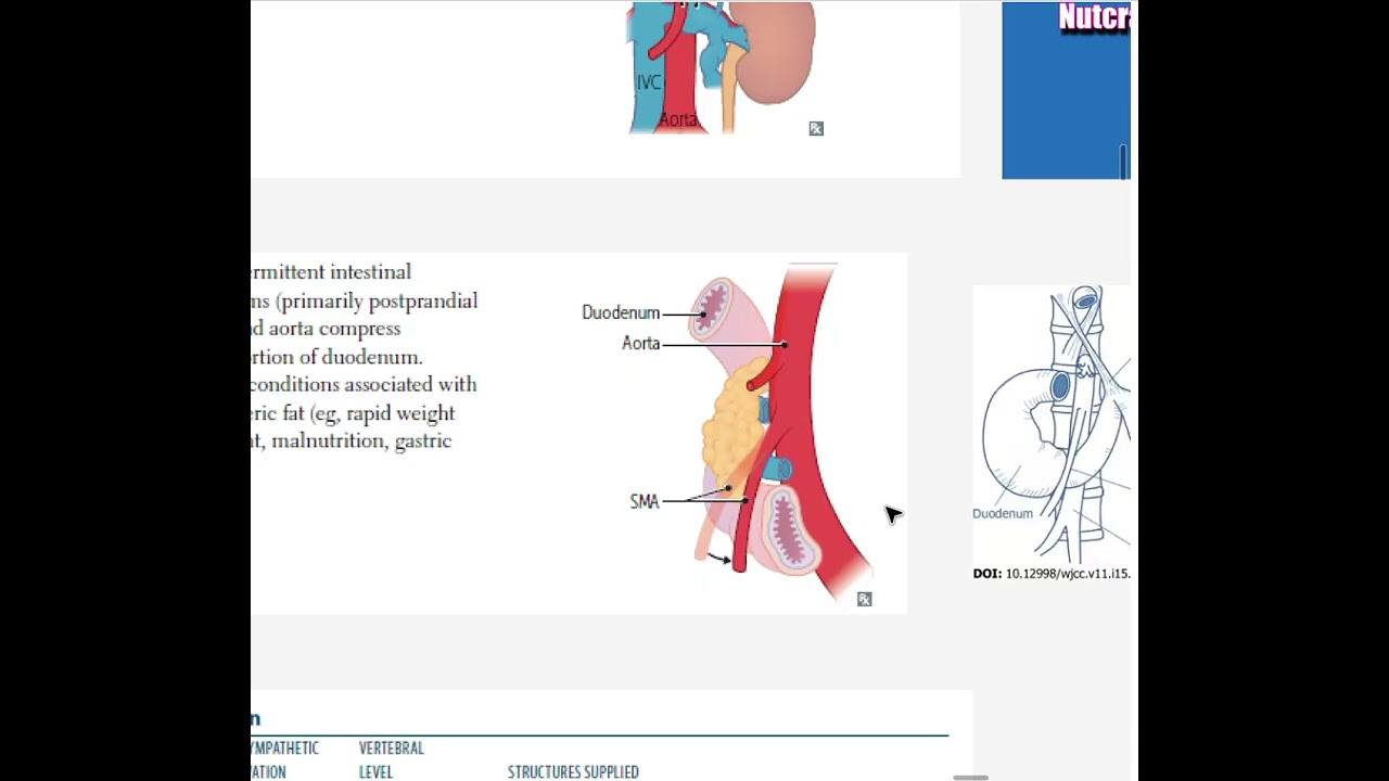 Git Part 5 Celiac Trunk & Arterial Supply of GIT First Aid