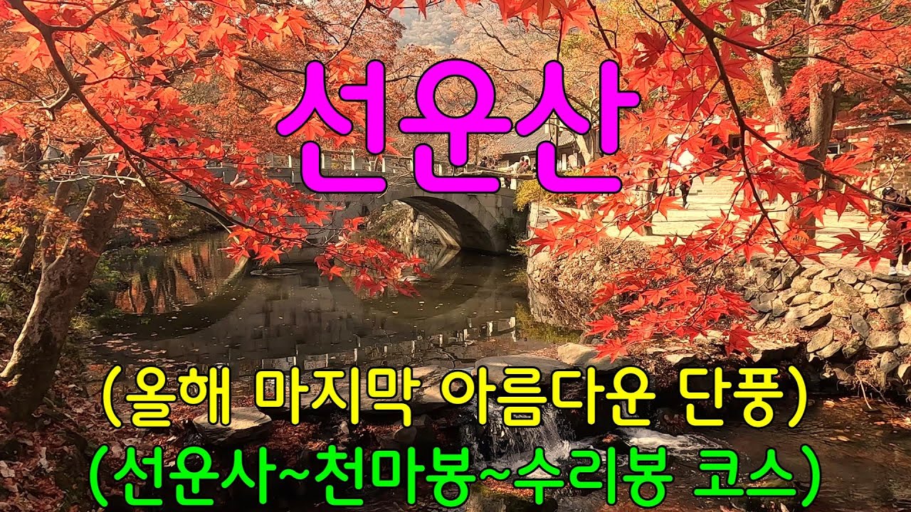 선운산 늦가을,그러나 아름다운 단풍ㅣ용문굴,수리봉~선운사는 단풍 절정ㅣ바닷가 차박_일출