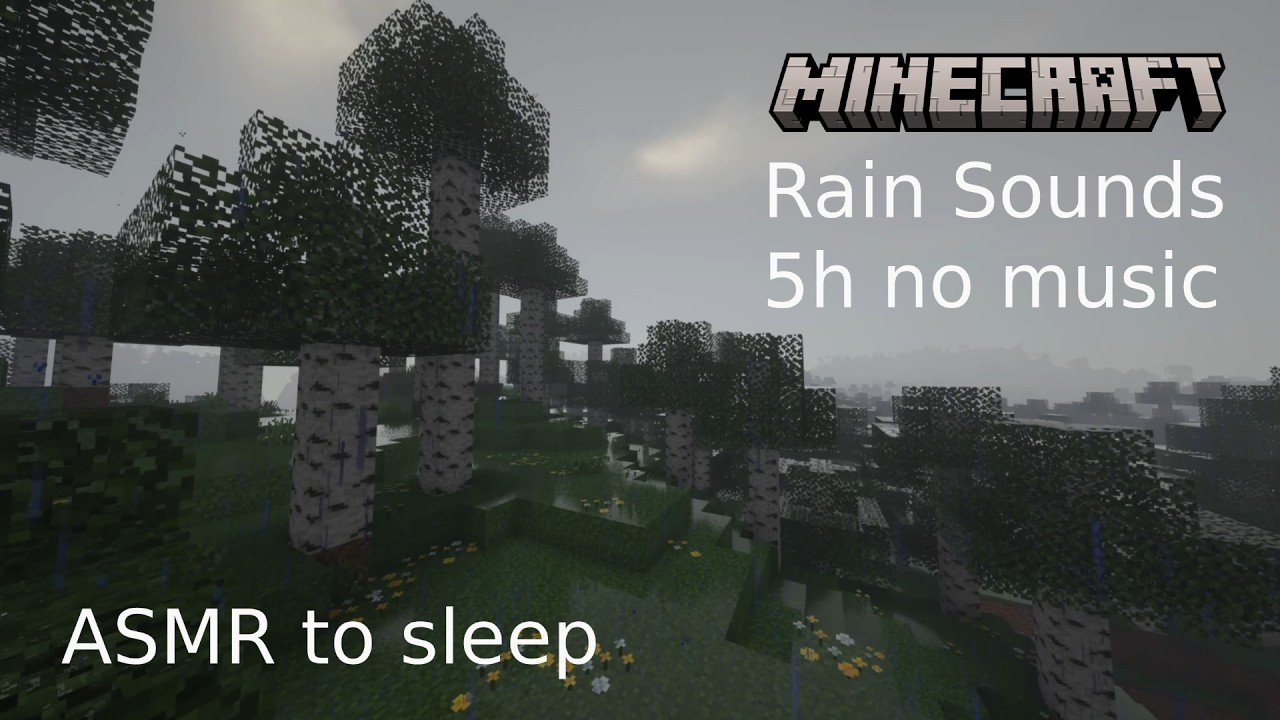 Calm Minecraft Birch Forest Rain 🌿 5 Hours Ambient Sounds - No Music