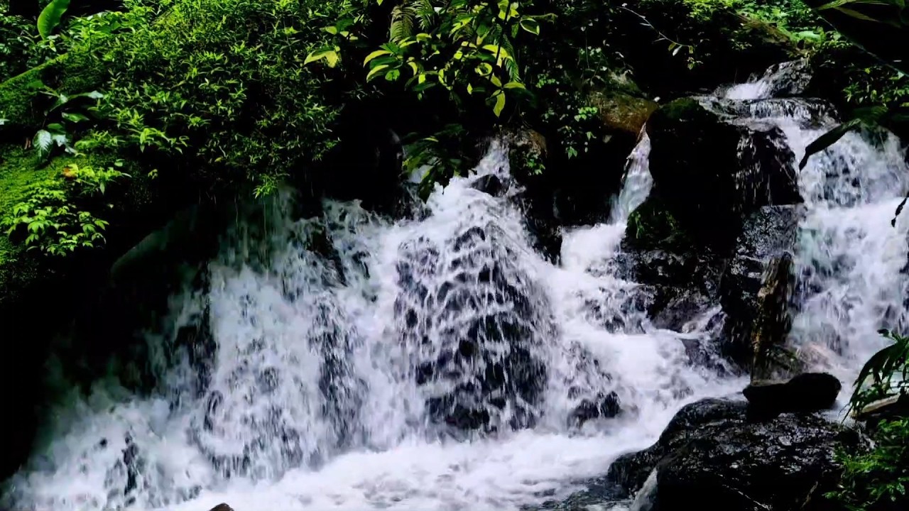 Gentle Flow Stream Ambience  River Sleep White Noise (2)