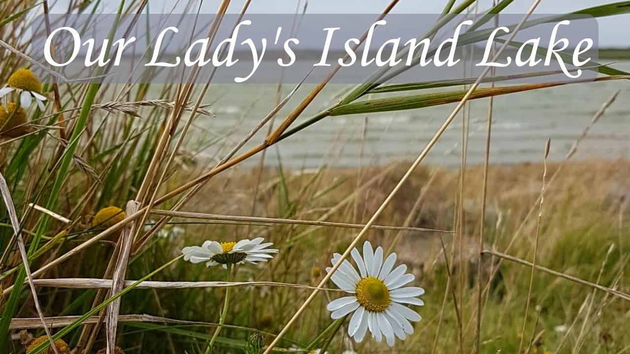 Our Lady's Island Lake, Co. Wexford