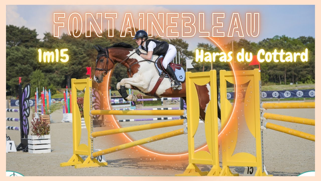 REPRISE DES 1M15 À FONTAINEBLEAU ! 🤩