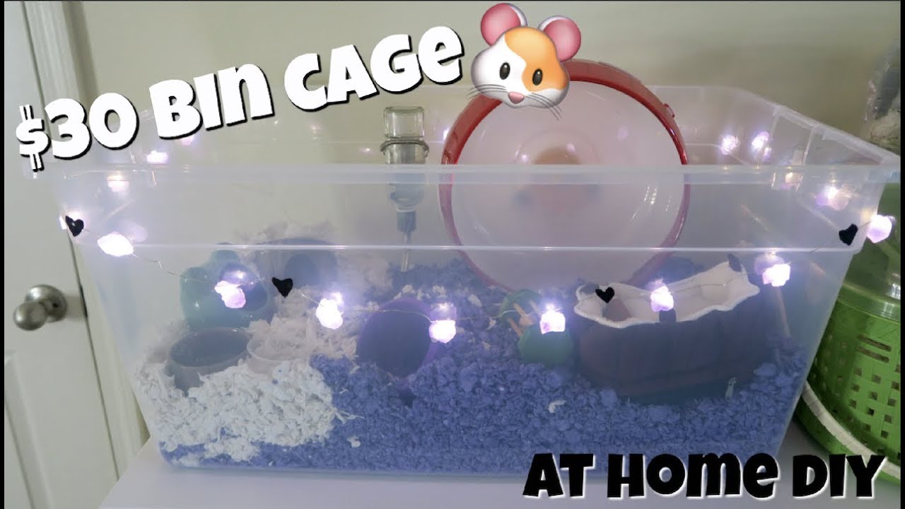DIY HAMSTER BIN CAGE 🐹❤︎