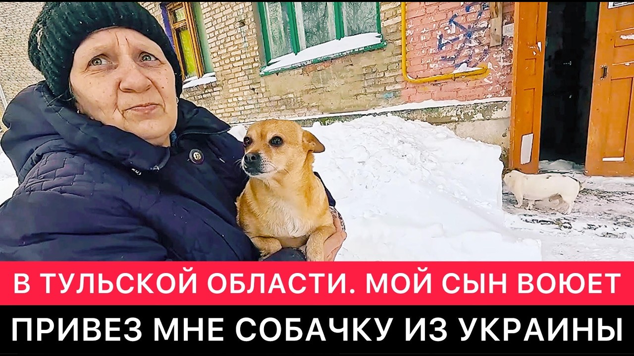 В ТУЛЬСКОЙ ОБЛАСТИ. 