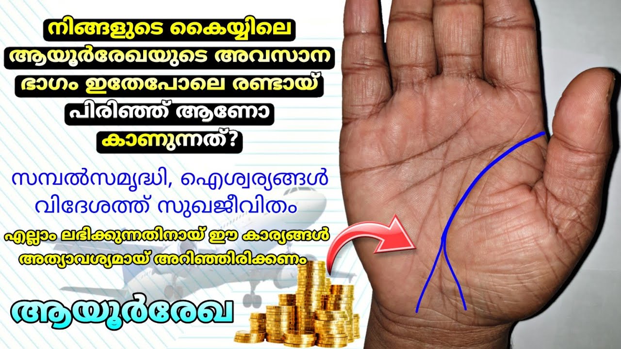 ജീവിതത്തിന്റെ ഗതി മാറ്റുന്ന ആയൂർരേഖ ✋️|| Palmistry in Malayalam/ Life line/ VedicPalmistry