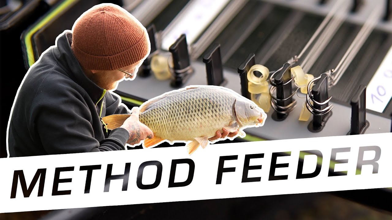 So fängst du JETZT dicke Karpfen mit dem Method Feeder