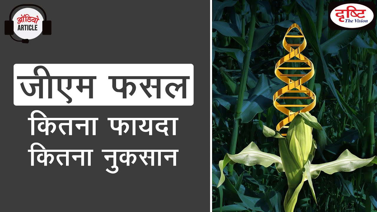 GM Crops: Pros and Cons - Audio Article | Drishti IAS