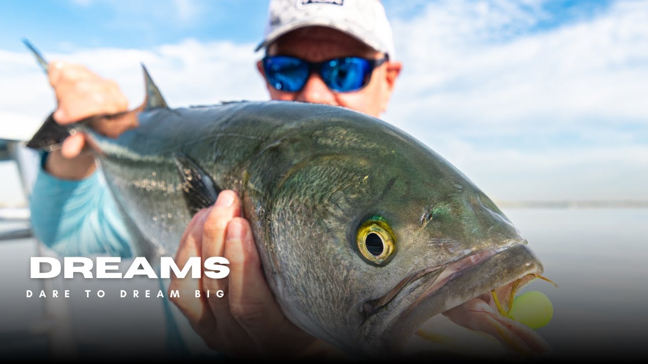 Catching Bluefish on the Fly Rod unfortunately I pulled the hook on this one