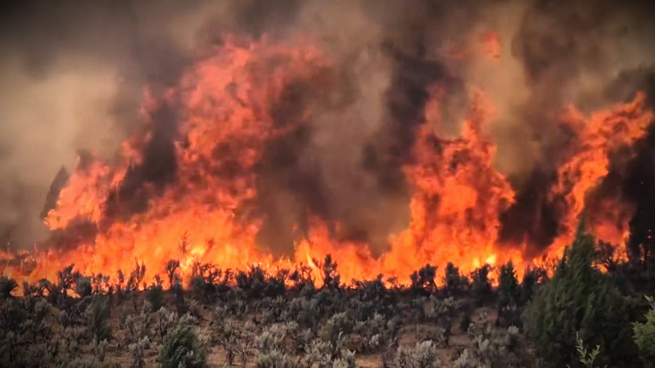 🔥 Utah's Worst Fire Season on Record Worsens | Widemouth 2 Tops 106,000 Acres, Evacuations Grow