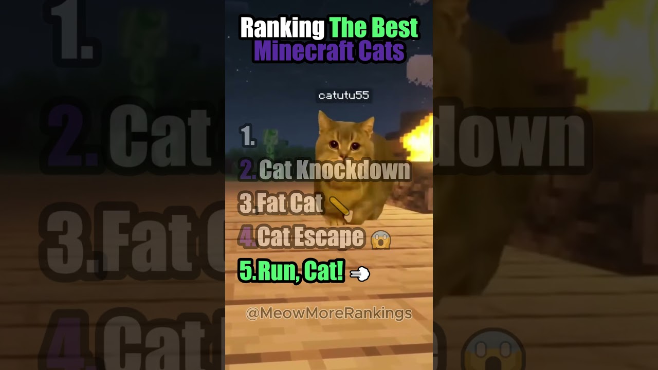These are the best Cats in Minecraft (Ranked!) #cat #funnycats #catvideos