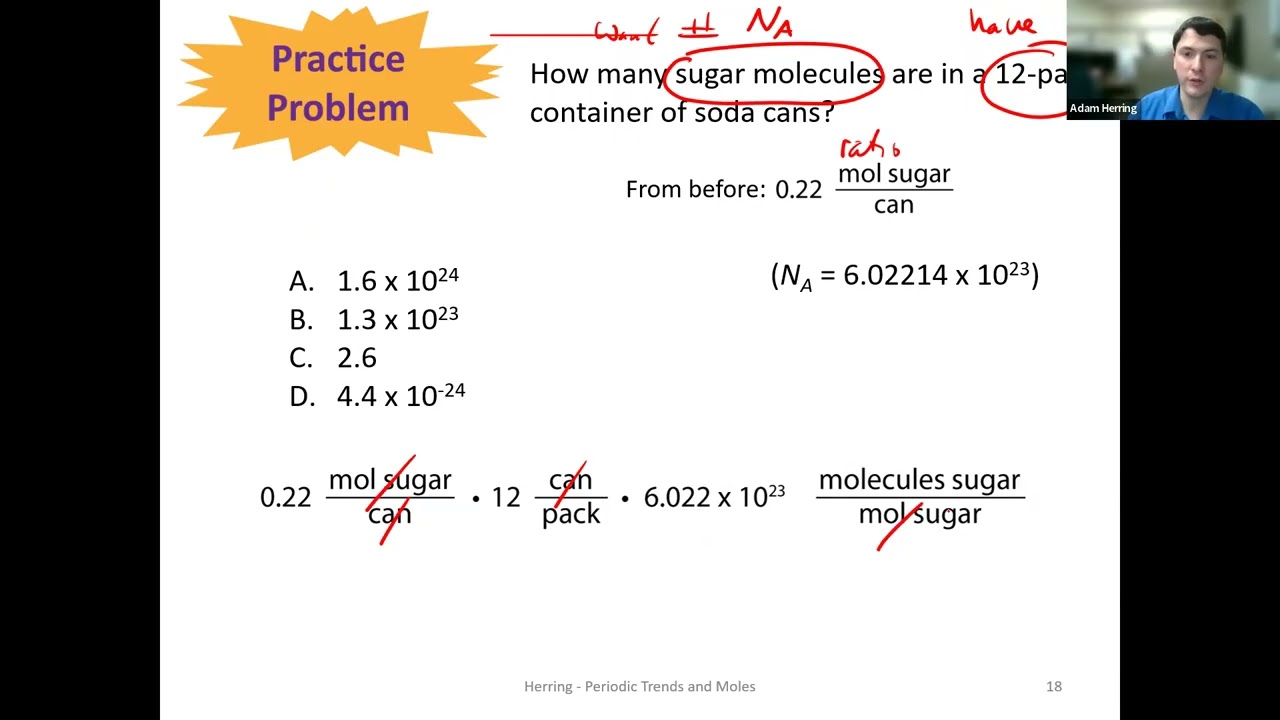 Introduction to General, Organic, and Biochemistry L4.3 Moles and Molar Mass practice problems