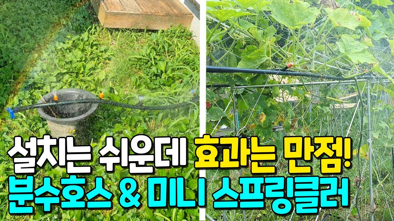 봄비처럼 촉촉하게 물주기 장치 만들기/ 작은 텃밭 효과적인 물관리/ 미니 스프링클러 & 분수호스 간단 설치 방법/ 관수 시설 활용으로 물주기가 편해져요!