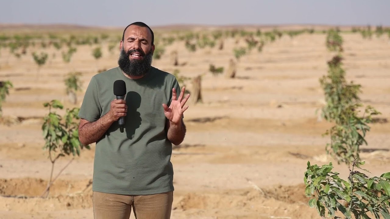 شاهد فيديو لافضل طريقه ري للاشجار وكيفيه عمل شبكه ري نموذجيه معايره من اكبر مزرعه مانجو واحه المانجو