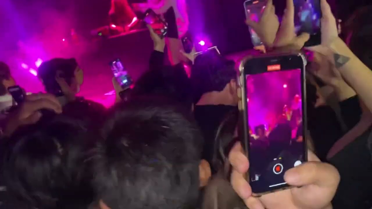 Flashlight (concierto)- @saramalacara feat. ​@rojuu