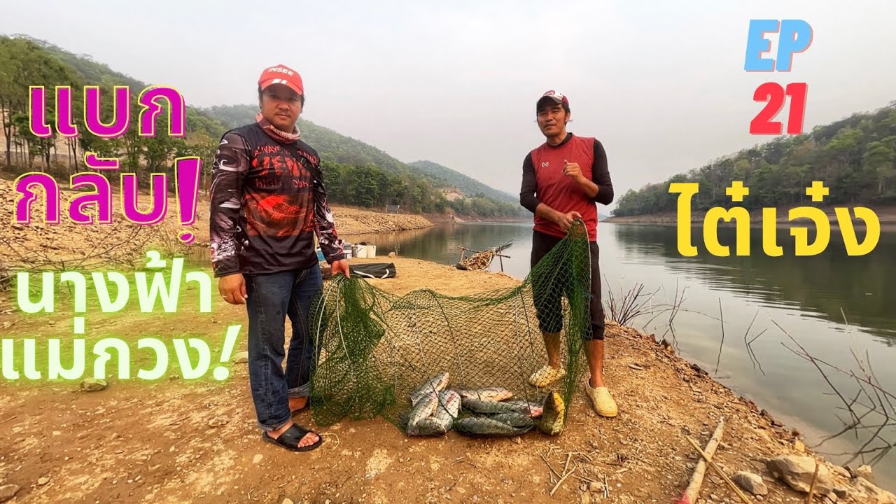 @AP_FamilyFishing  EP.21 ฝูงนางฟ้าคลั่ง เขื่อนแม่กวง #สูตรนี้ตีเป็นกิน