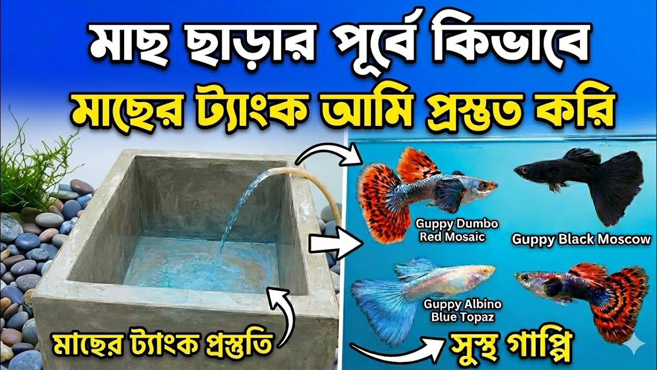 মাছের ট্যাংক পরিষ্কার করলাম মাছ ছাড়া পূর্বে। 