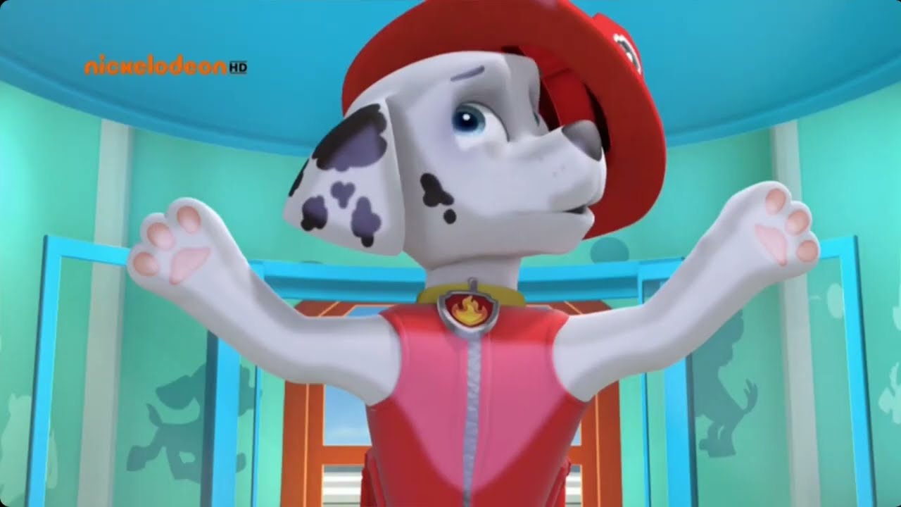 FUNNY MOMENTS IN THE ELEVATOR | 1 SEASON | PAW Patrol