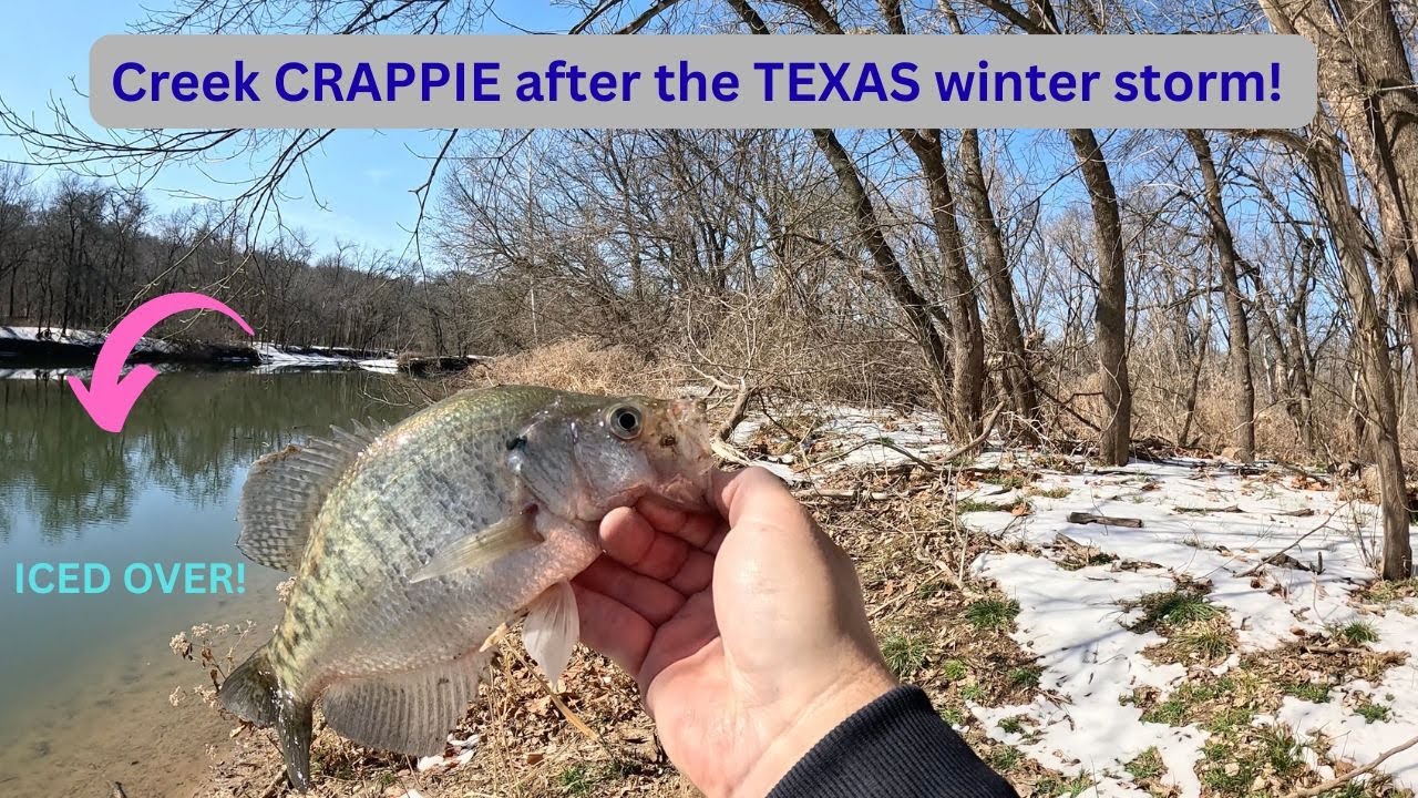 Breaking ICE on the creek after the TEXAS winter storm! The CRAPPIE were THUMPING!